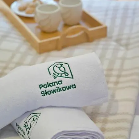 Polana Slowikowa 5 Star- W Gorach Z Jacuzzi, Sauna,basen,ogrod Z Lasem, Kominek I Narty 샬레