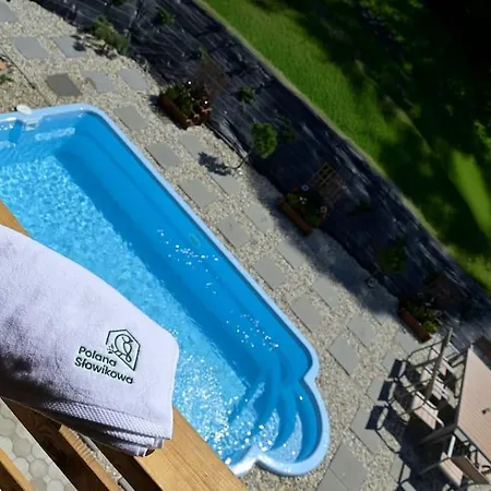 Chalé Polana Słowikowa 5 Star- W Górach Z Jacuzzi, Sauna,basen,ogród Z Lasem, Kominek I Narty *