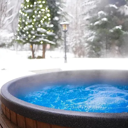 Polana Slowikowa 5 Star- W Gorach Z Jacuzzi, Sauna,basen,ogrod Z Lasem, Kominek I Narty *