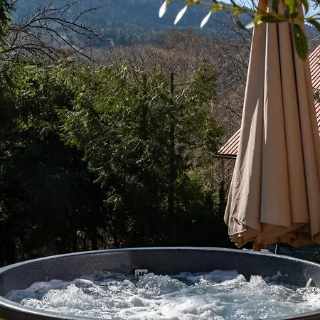 Polana Slowikowa 5 Star- W Gorach Z Jacuzzi, Sauna,basen,ogrod Z Lasem, Kominek I Narty * Stroza (Myslenice)
